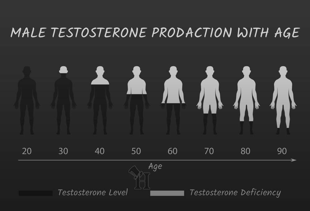 Producción de testosterona con la edad
